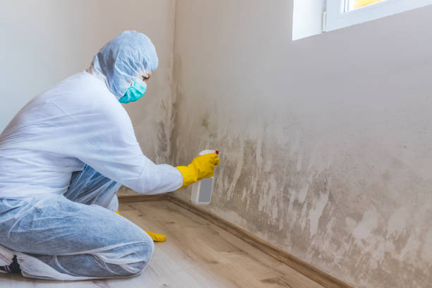 Licensed Mold Removal service in Hillsboro, OR - WQB Mold Removal