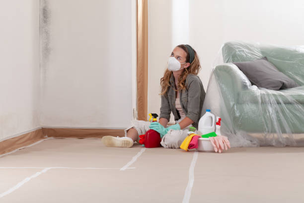 Reliable Mold Removal contractor in Hillsboro, OR by WQB Mold Removal
